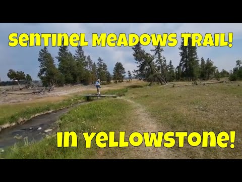Sentinel Meadows Trail in Yellowstone National Park
