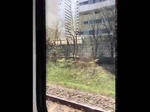 VIAGEM À ILHA NAMI - VIAGEM