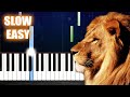 The Chronicles Of Narnia - The Battle Song - SLOW EASY Piano Tutorial by PlutaX