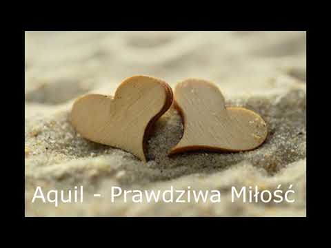 Gołąb KTM - Prawdziwa Miłość