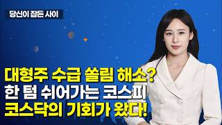 [MTN 당잠사] 대형주 수급 쏠림 해소?한 텀 쉬어가는 코스피코스닥의 기회가 왔다! / 머니투데이방송 (증…
