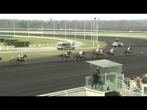 La course du Prix des centaures 2012 gagnée par Pierre-Yves Verva avec Saphir de Morge