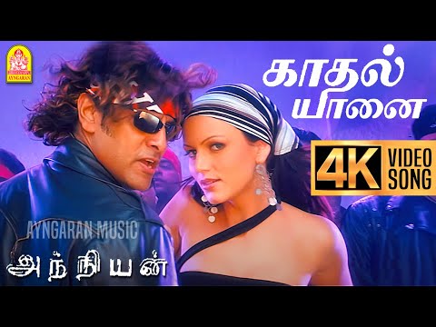 Kadhal Yaanai - 4K Video Song | காதல் யானை | Anniyan | Vikram | Shankar | Harris Jayaraj | Ayngaran