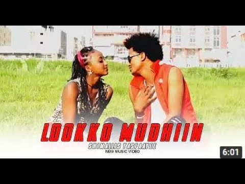 Moosisaa Gammachuu -  Lookoo Mudhiin |  New Ethiopian Oromo Music 2022
