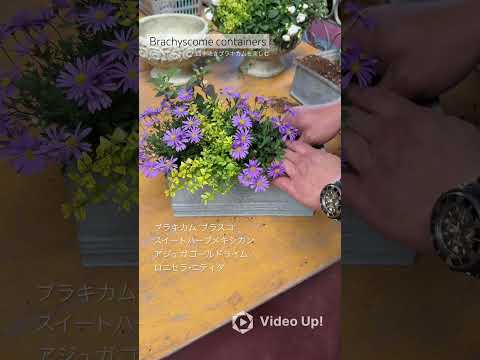 菜園コンテナパレットを作る追加スペースの可能性作物の数を増やす