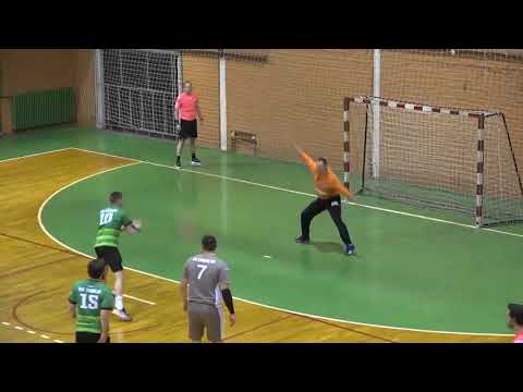 Nikola Bogojevic Handball Goalkeeper