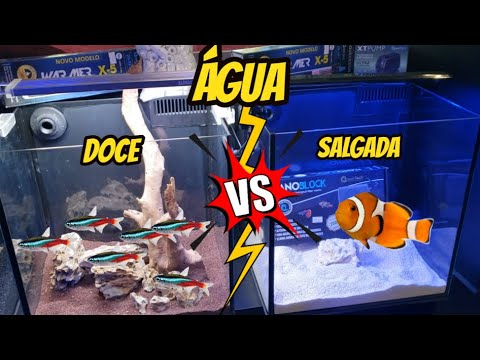 My First Aquarium! Saltwater vs. Freshwater? Which Aquarium Should I Set Up? (Beginners)