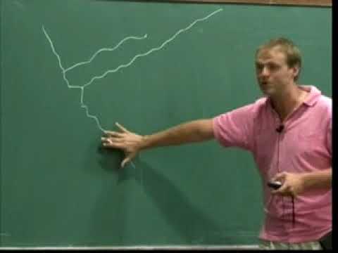 XIV Escola Brasileira de Probabilidade - Short talk: 01