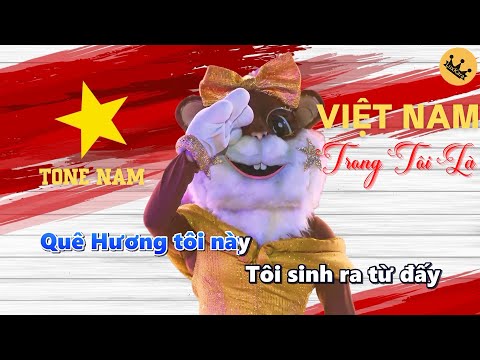 [Karaoke Tone Nam] VIỆT NAM TRONG TÔI LÀ - Tí Nâu