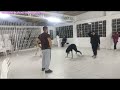 SOPORTE 18 VIDEO 18 FEBRERO 19