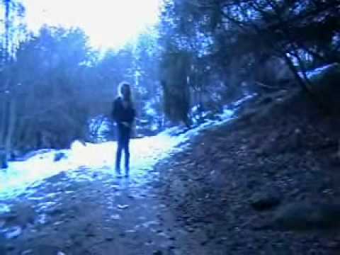 sgogmorder i stavanger city. skoleprosjekt