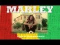 Bob Marley | M A R L E Y trailer | Rasta in ...
