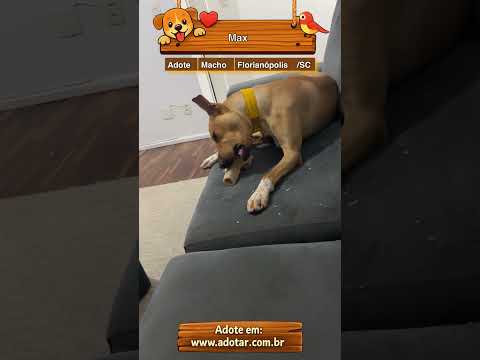 Vídeo de Max