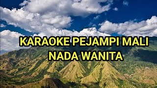 Download lagu KARAOKE PEJAMPI MALI NADA WANITA@singkingkaraoke mp3