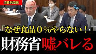 【国会激震】選挙公約だろ！食品消費税0%をレジを言い訳に減税を拒絶する財務省の嘘バレる！百田尚樹が国会で大暴露【日本保守党/百田尚樹/消費税減税】