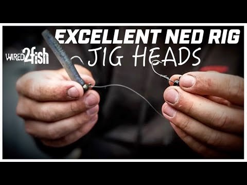 2 Proven Ned Rig Jig Heads and When to Use