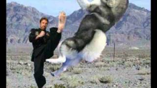 you kicked my dog -adam sandler