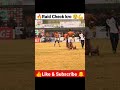 Best Raid Malik Binyamin Shorts