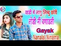Nanalal Ninama Vadi Ma Lagu Limbu Chori Aakash Ninama