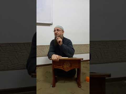 Izet Hadzic- Plodovi Istikameta