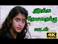 இந்த தேவதைக்கு நல்லதேதி வச்சாச்சு இவ