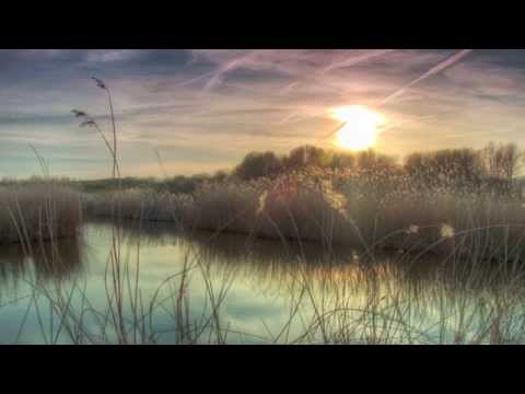 De Hofnar & Dennis Kruissen - Ayo Technology (Bootleg)