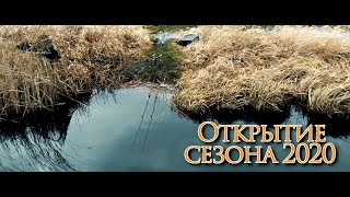 Соревнования по карповой ловли в 2020 черница