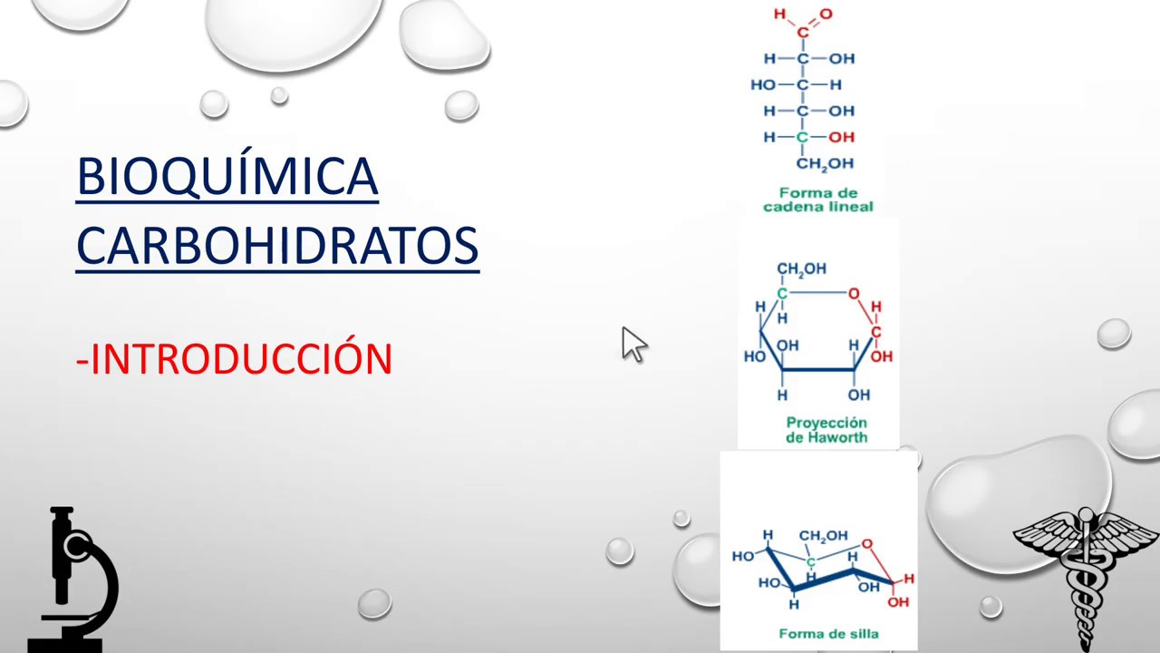 Bioquímica de carbohidratos. 1 Introducción