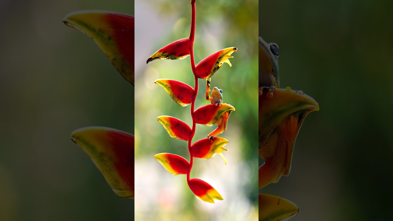 The Most Extreme Weather Events Ever Recorded on Earth!