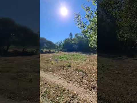 Eladó ipari ingatlan, Piliscsaba 89.99 M Ft