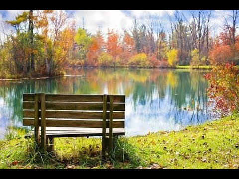 Ein klarer Geist entscheidet weise! 🌙  - Energien zum Neumond-Wochenende 26.-28.08.2022