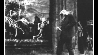 Trek With Quintronic - Cheap for the Chance