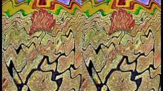 PARDON MY HEART NEIL YOUNG.wmv