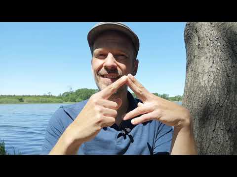 Monatsbotschaft und Channeling Juni 2020