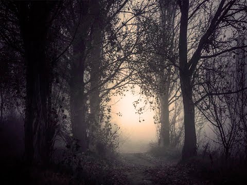 BLDMN - Haunted Tape 2