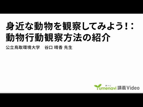 環境学科 「身近な動物を観察してみよう！動物行動観察方法の紹介」環境学部　谷口 晴香