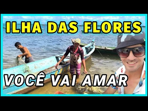 CONHEÇA A LINDA CIDADE DE ILHA DAS FLORES SERGIPE UM ENCANTO DE LUGAR BANHADO PELO RIO SÃO FRANCISCO
