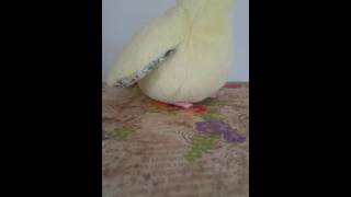 TYM46 Thank you music 46「子供の憧憬」Longing of childhood