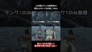 【Skyrim】魔術師の鎧はランク1が最強だった！？ #skyrim