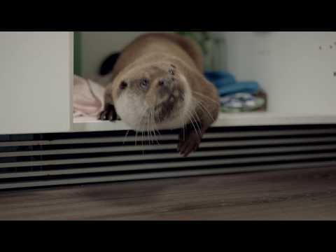 Unser Oecoplan-Sortiment ist nachhaltig und vom WWF empfohlen