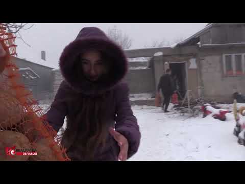 Acțiunea umanitară Realitatea de Vaslui (1)