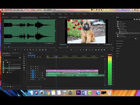 premiere pro intro