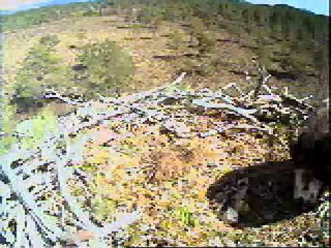 Auch in Abernethy war Schlüpftag!