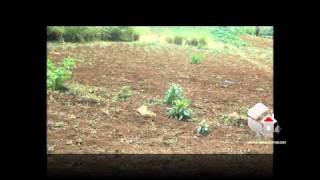 preview picture of video 'Terreno Barato de 14 manzanas en Intibuca Honduras'