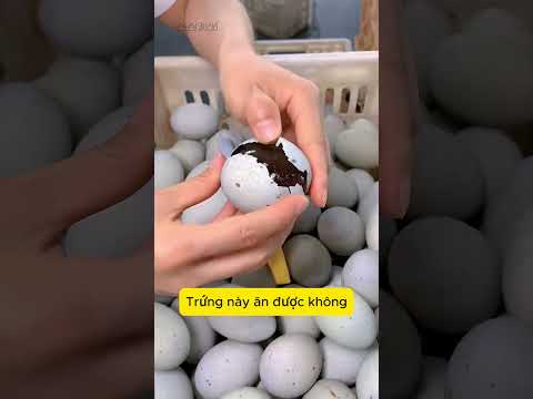 Trứng này là trứng gì đây #videoshort #viral #funny #j4f