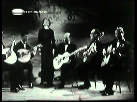 Maria Teresa de Noronha - Não te odeio