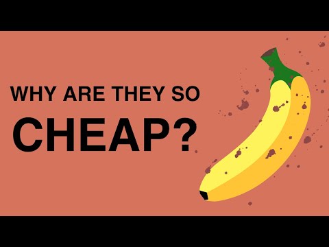 Why Are Bananas So Cheap? The Dark History of Bananas