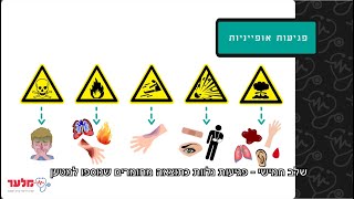 פגיעות הדף ומעיכה | מלער קורס עזרה ראשונה
