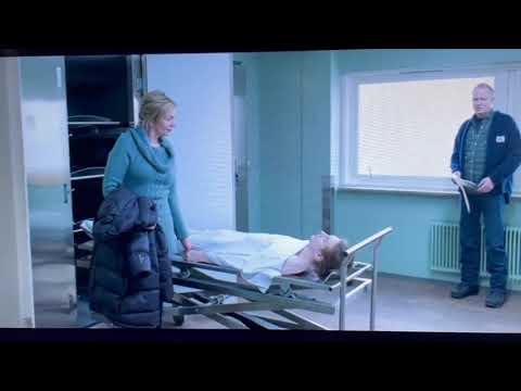 In Order of Disappearance english part 2