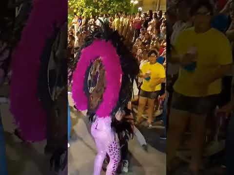Candidata Reina de la Feria 2024 Distintivo Morado Sayula de Alemán, Veracruz
